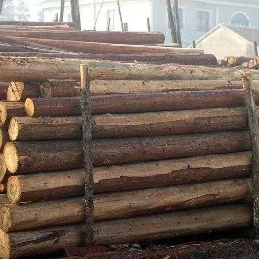 常见木材你知道几个?